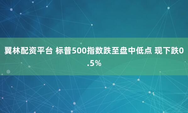 翼林配资平台 标普500指数跌至盘中低点 现下跌0.5%