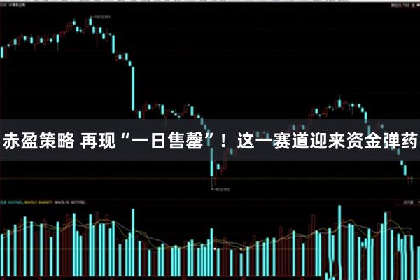 赤盈策略 再现“一日售罄”！这一赛道迎来资金弹药